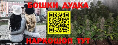молекула духа Кулебаки