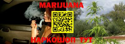 молекула духа Кулебаки